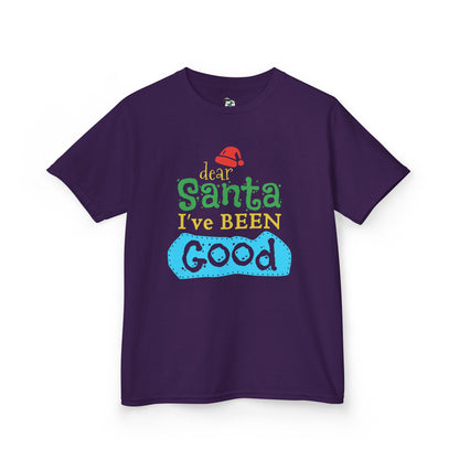 Dear Santa I've Been Good Youth T-Shirt